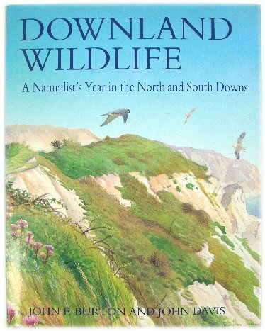 Image for Downland Wildlife: a Naturalist's Year In The North and South Downs